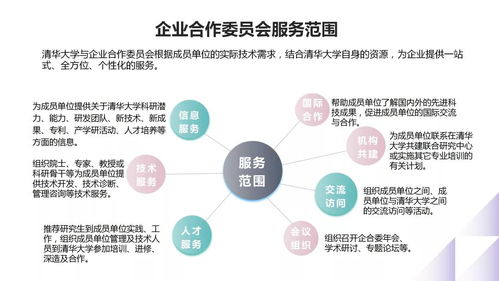 清華大學(xué)的產(chǎn)學(xué)研合作模式 以信息技術(shù)咨詢服務(wù)為例